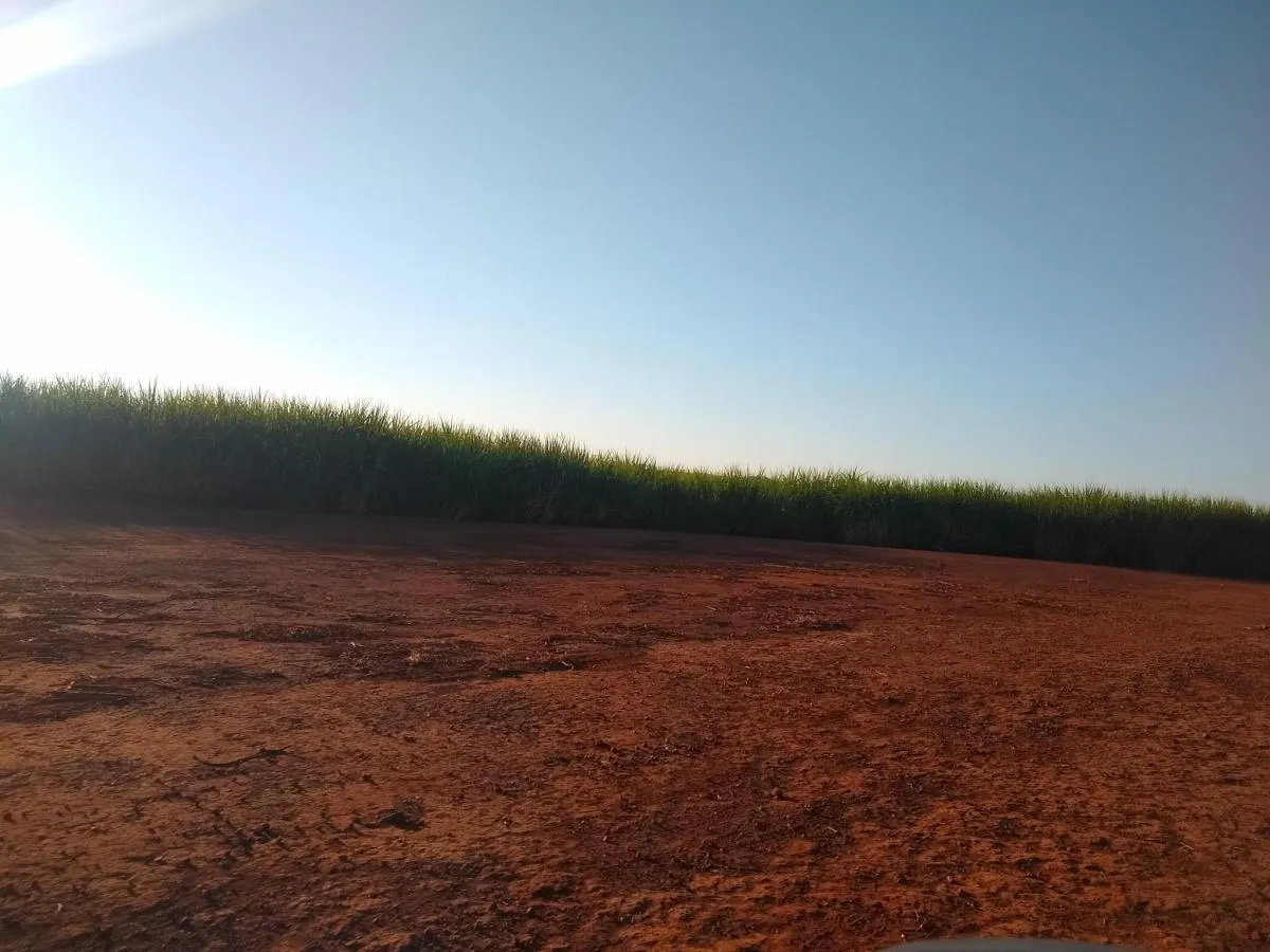 Fazenda à venda de 460 ha em Araraquara, SP, Brasil