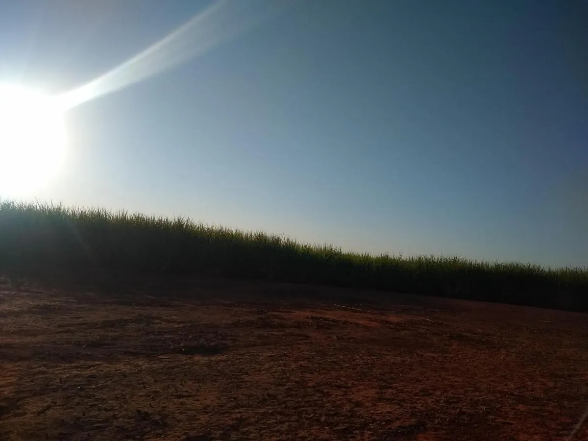 Fazenda à venda de 460 ha em Araraquara, SP, Brasil