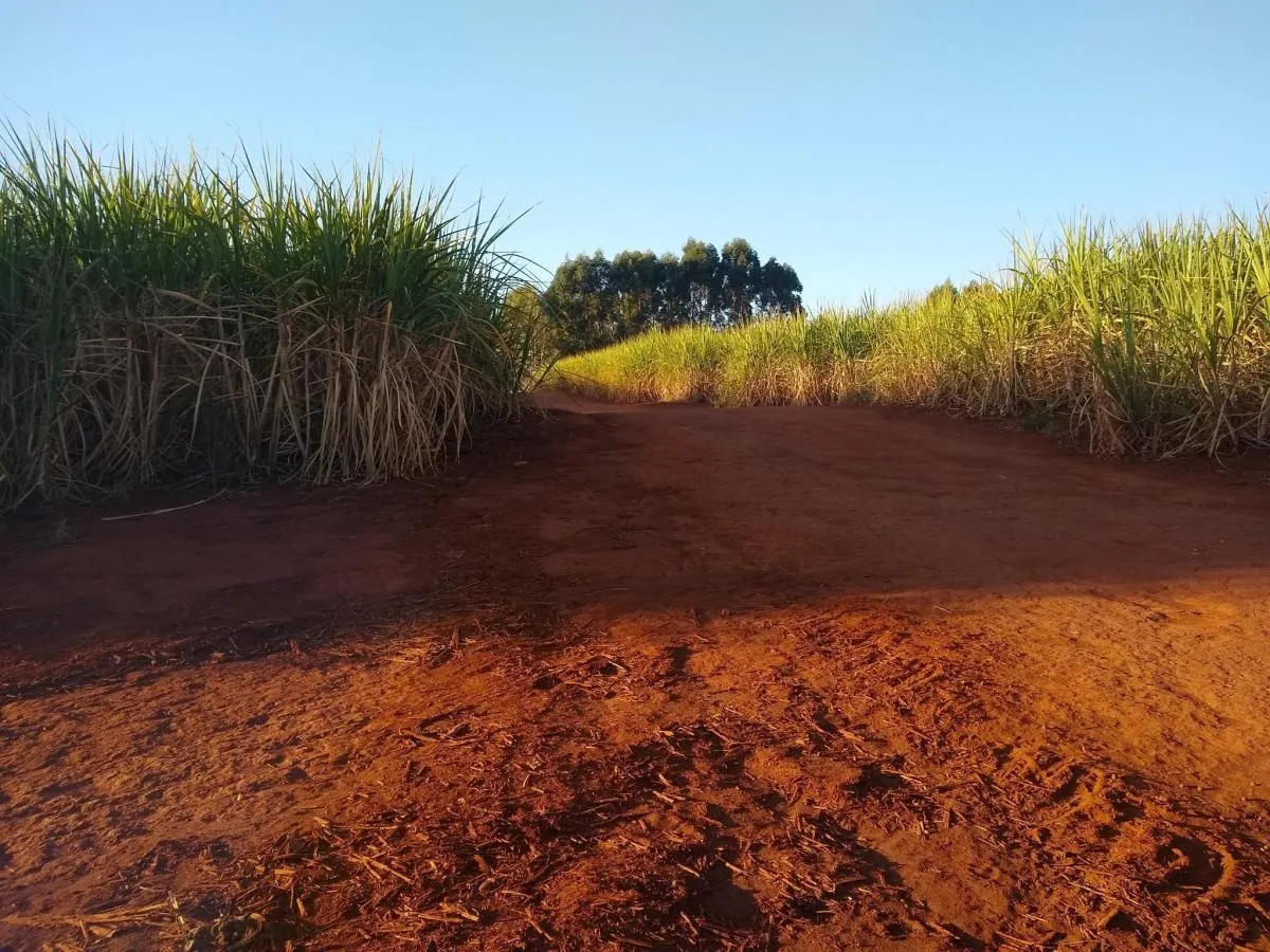 Fazenda à venda de 460 ha em Araraquara, SP, Brasil