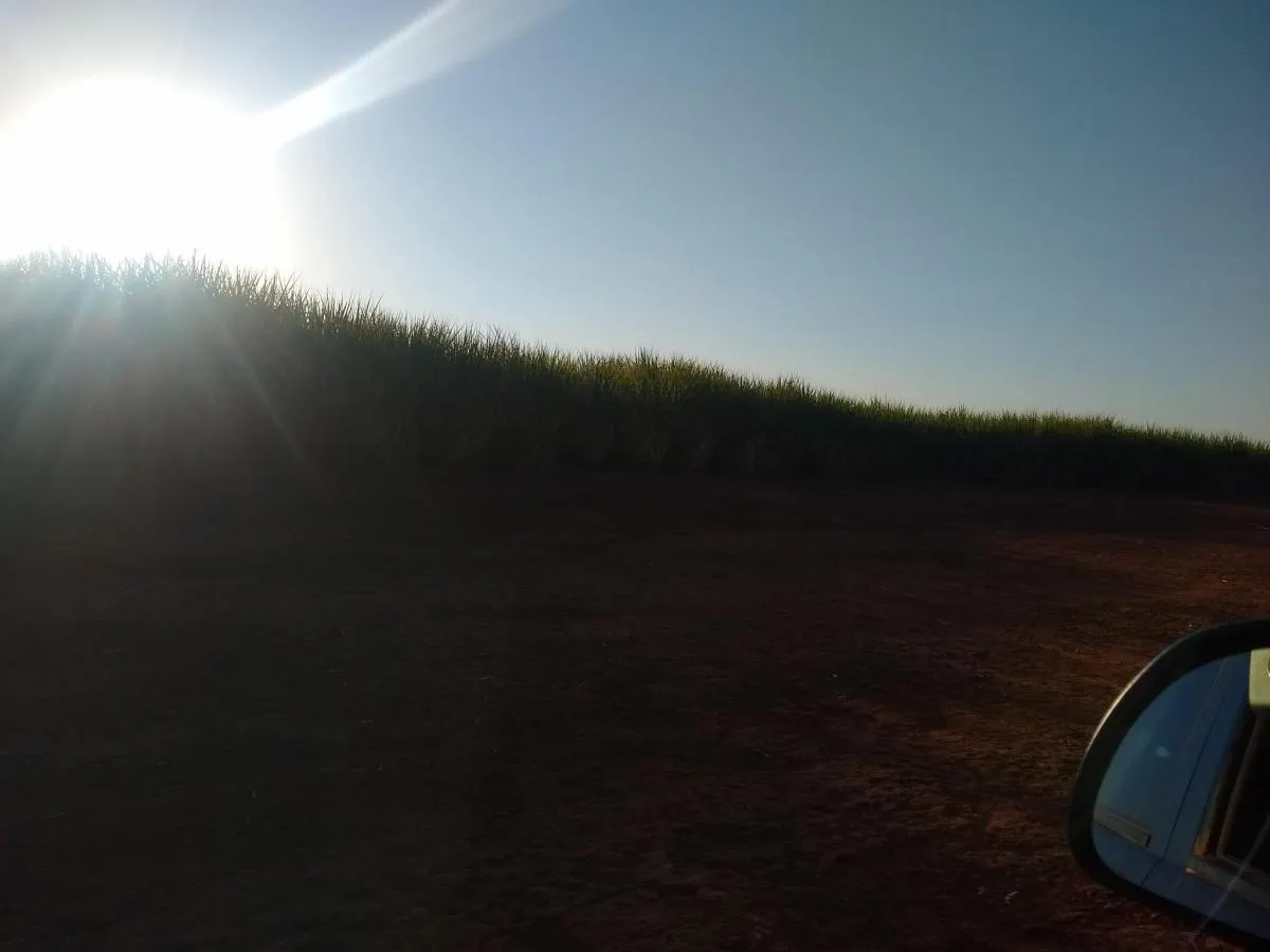 Fazenda à venda de 460 ha em Araraquara, SP, Brasil