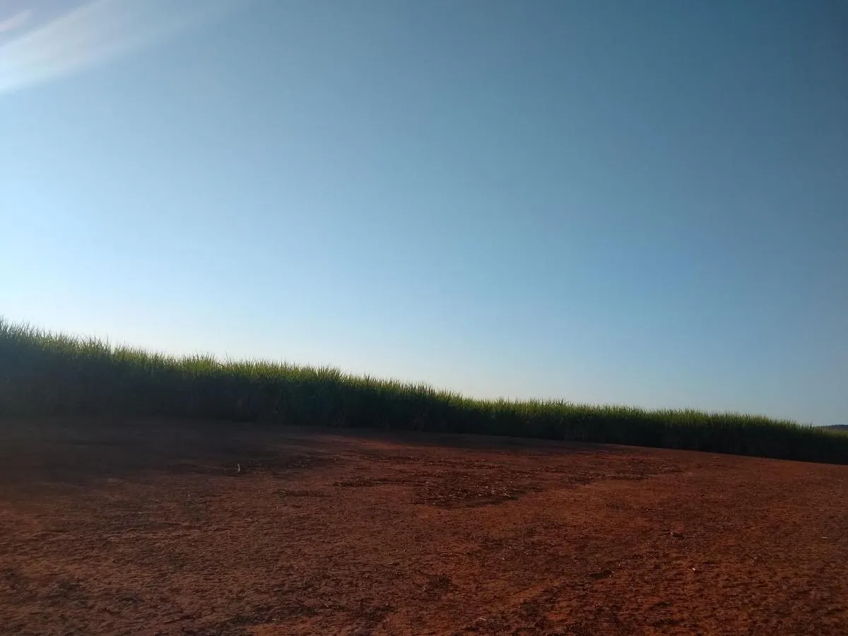 Fazenda à venda de 460 ha em Araraquara, SP, Brasil