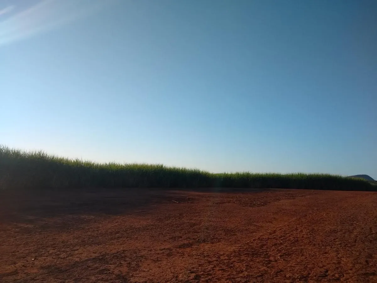 Fazenda à venda de 460 ha em Araraquara, SP, Brasil