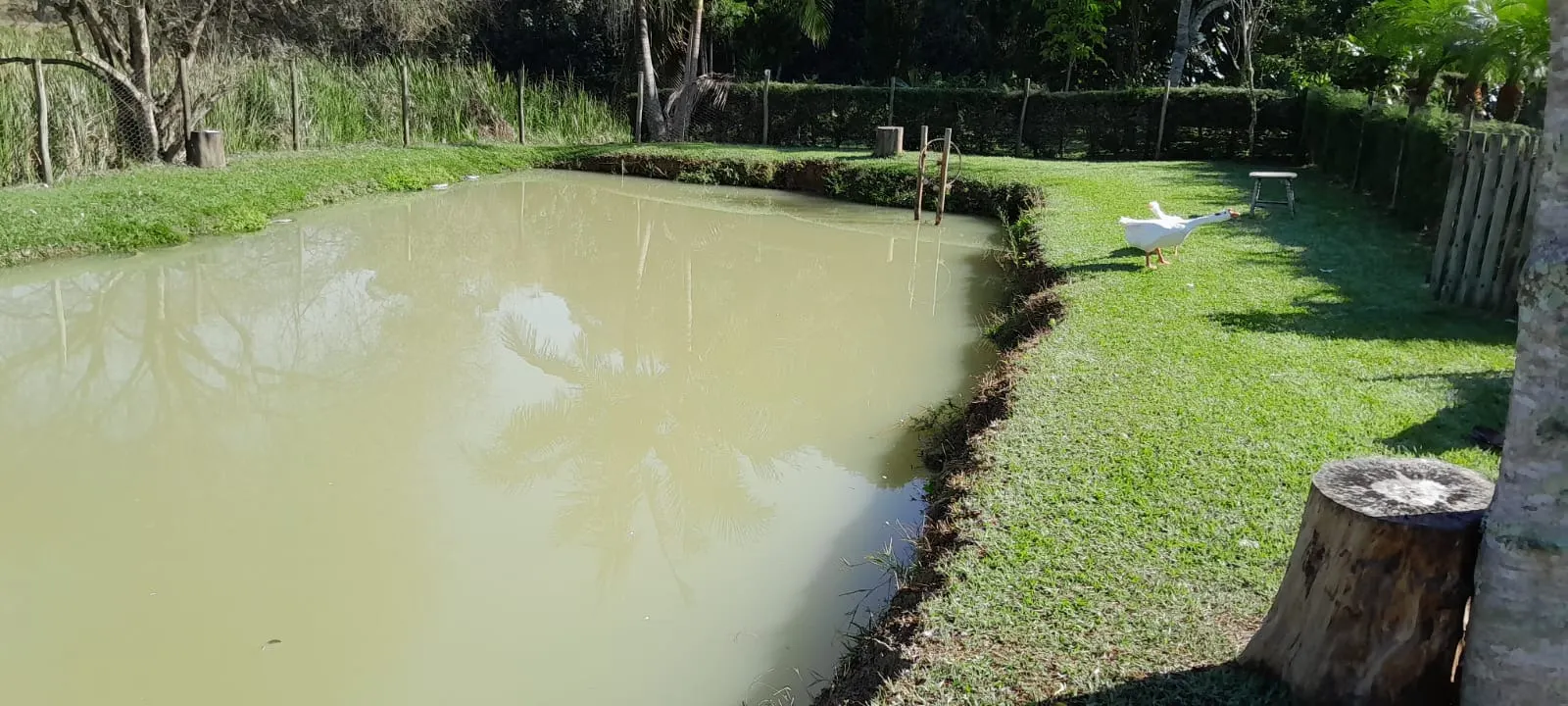 Chácara à venda de 8.895 m² em Paraibuna, SP, Brasil