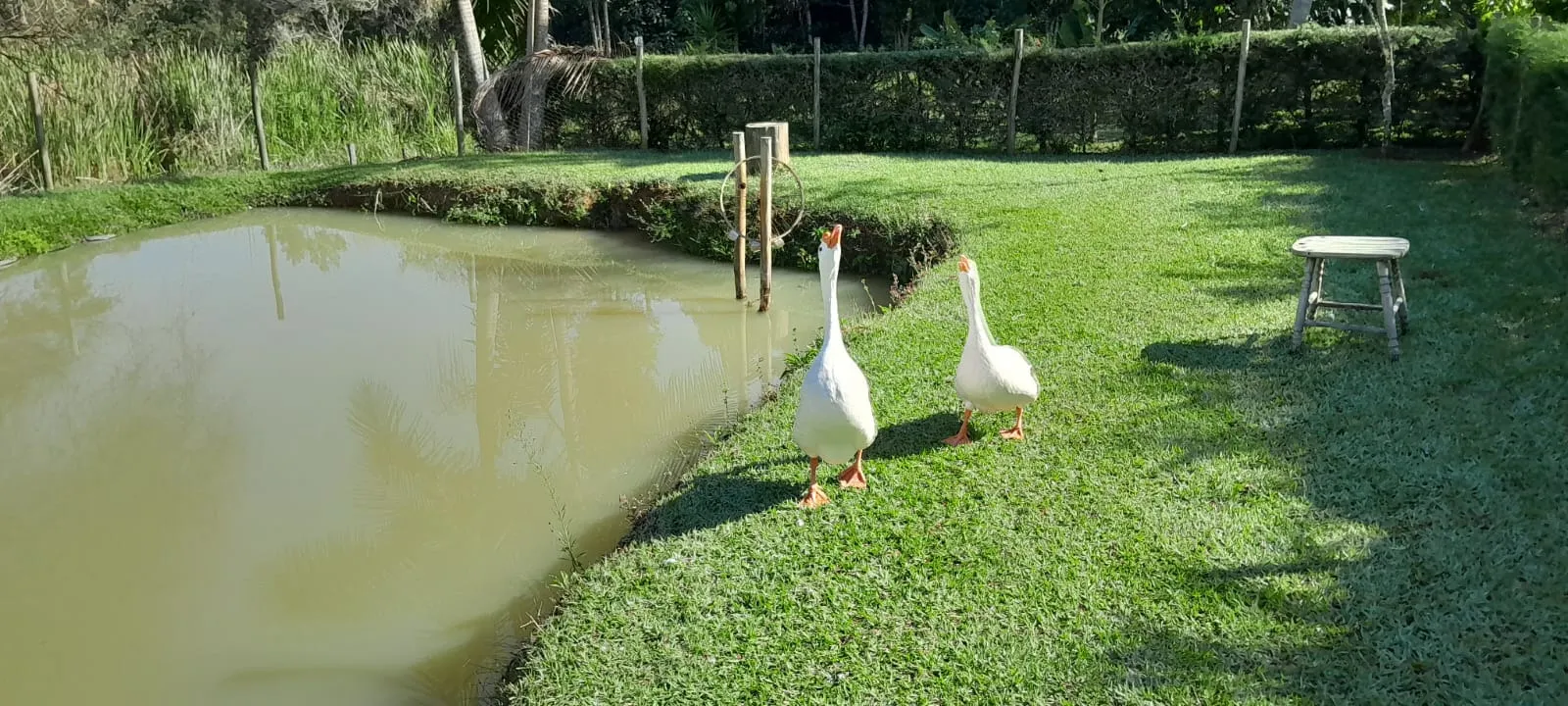 Chácara à venda de 8.895 m² em Paraibuna, SP, Brasil