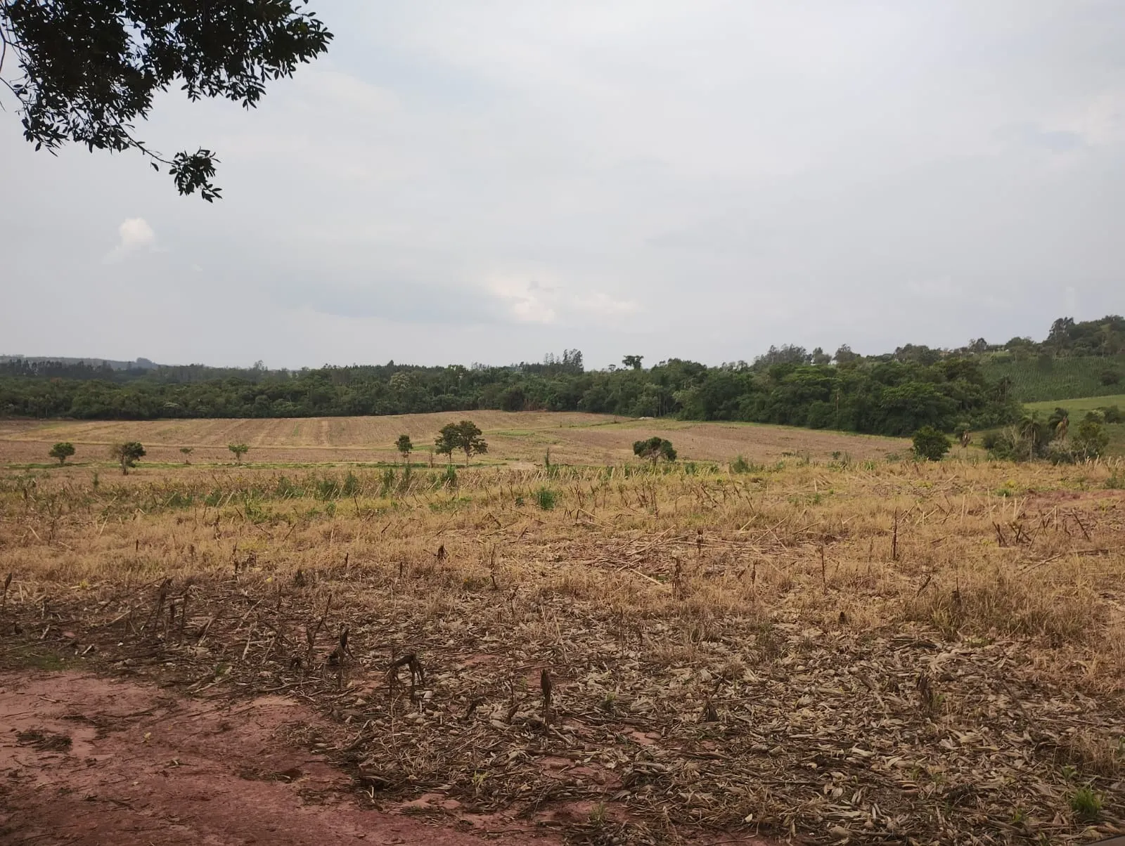 Sítio à venda de 81 ha em Angatuba, SP, Brasil