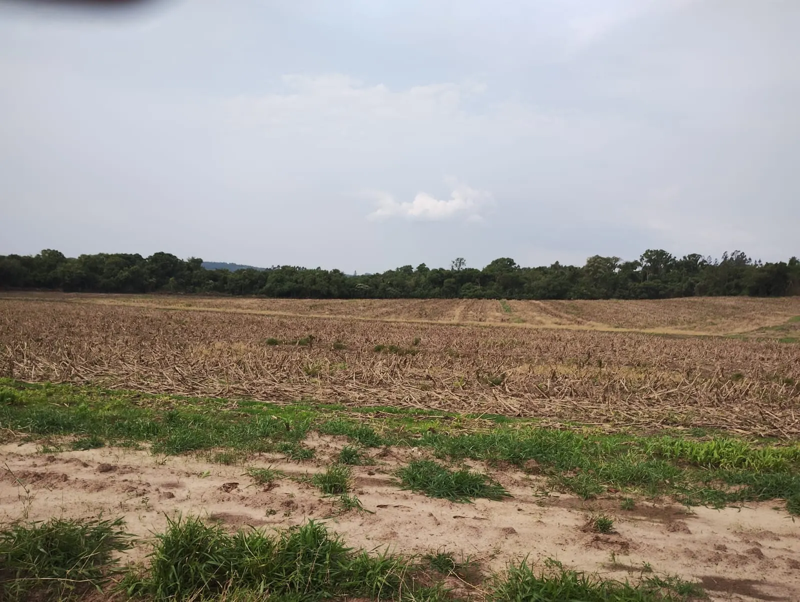 Sítio à venda de 81 ha em Angatuba, SP, Brasil