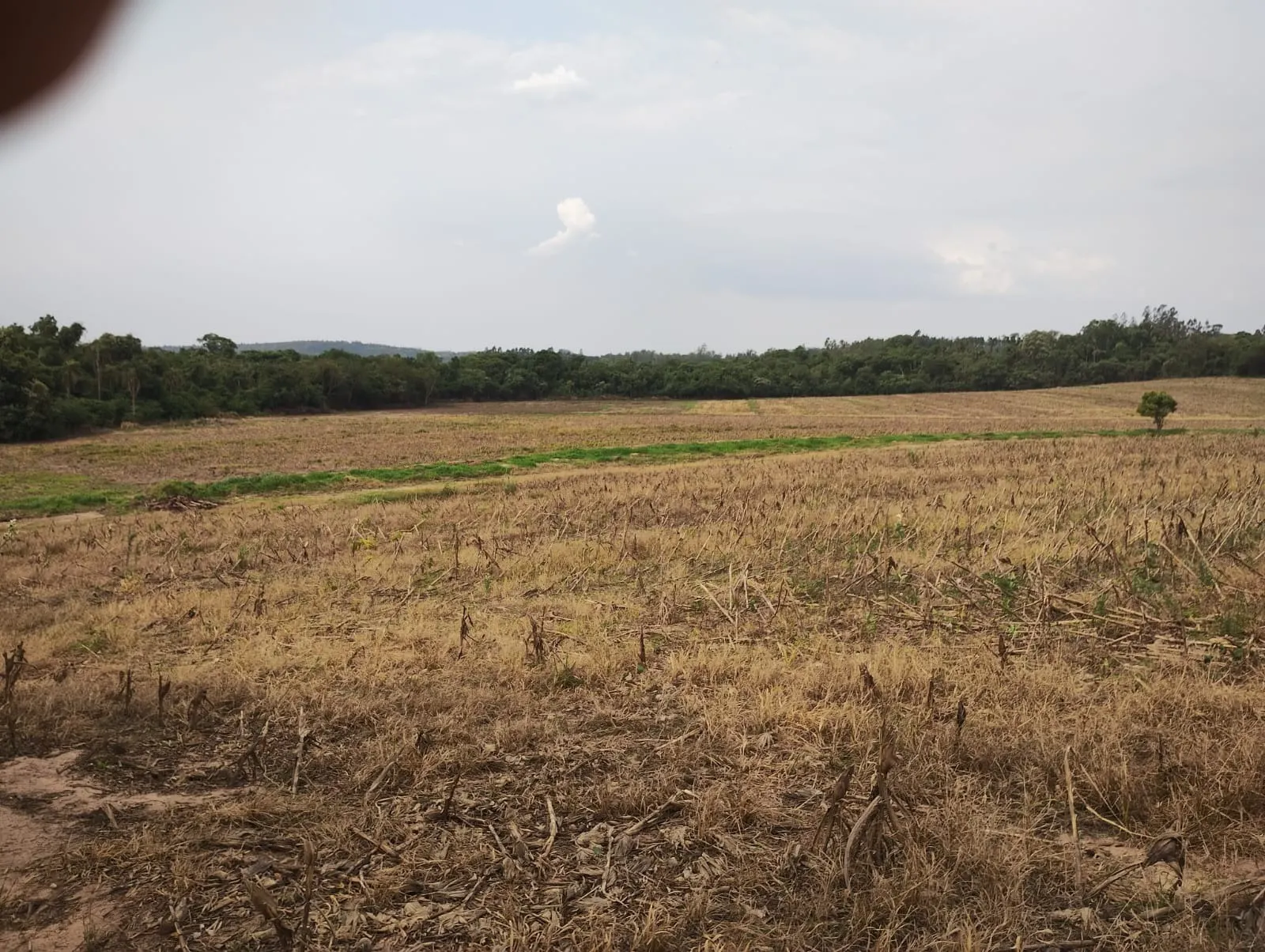 Sítio à venda de 81 ha em Angatuba, SP, Brasil