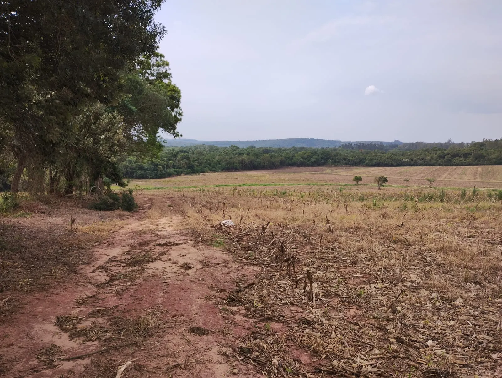 Sítio à venda de 81 ha em Angatuba, SP, Brasil