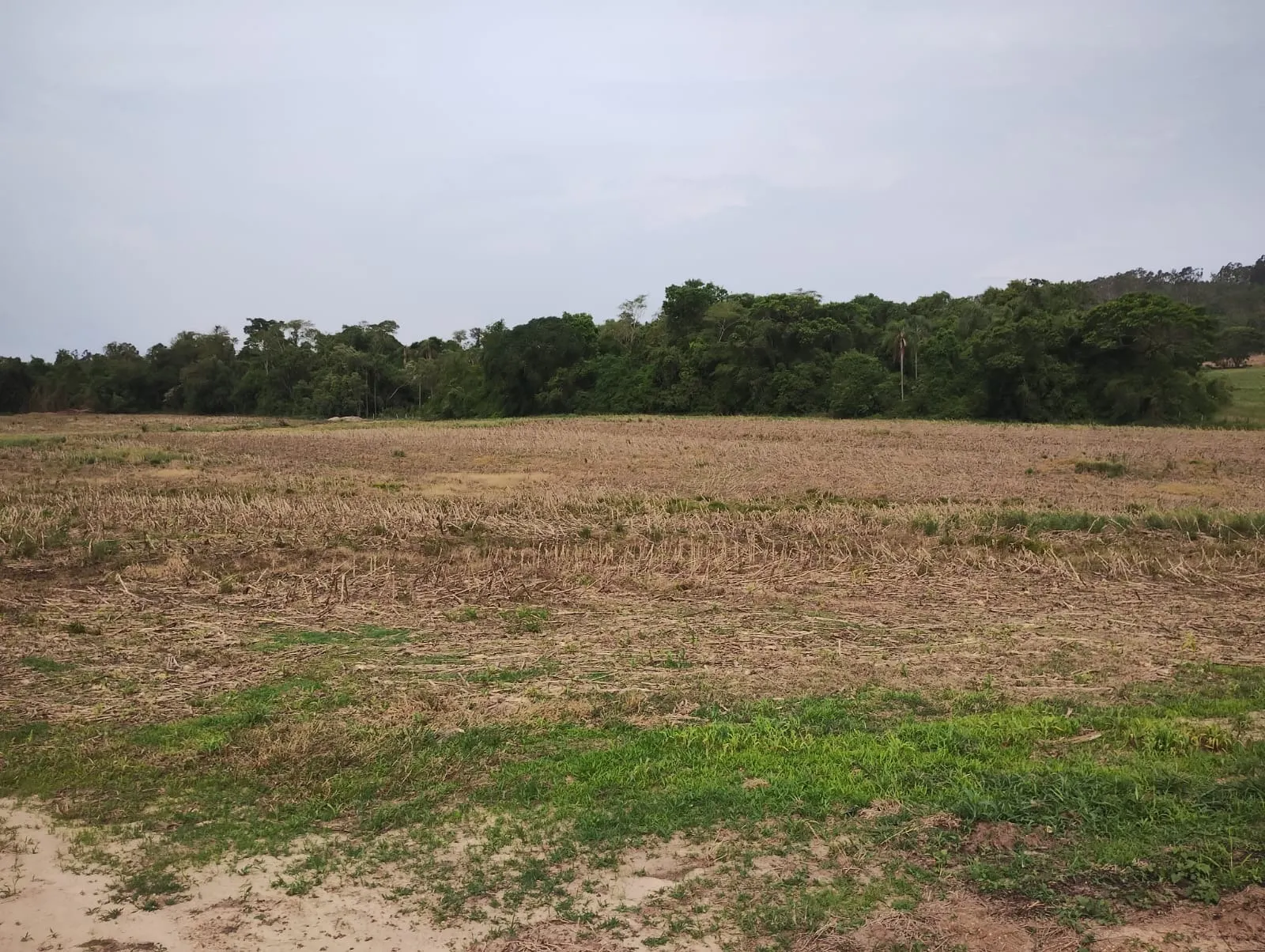 Sítio à venda de 81 ha em Angatuba, SP, Brasil