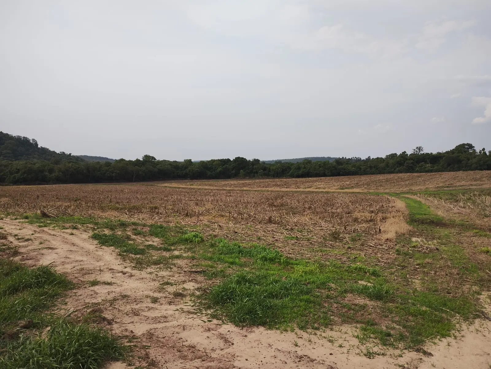 Sítio à venda de 81 ha em Angatuba, SP, Brasil