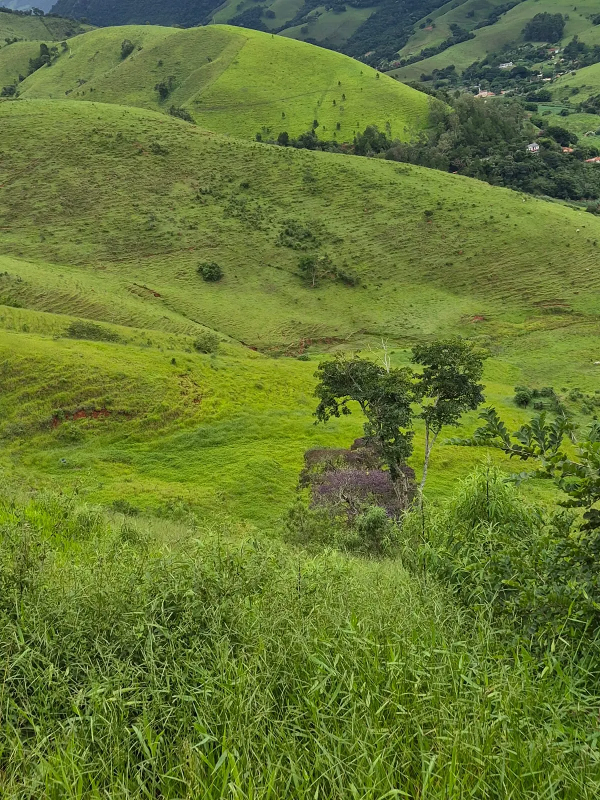 Sítio à venda de 5 ha em Delfim Moreira, MG, Brasil