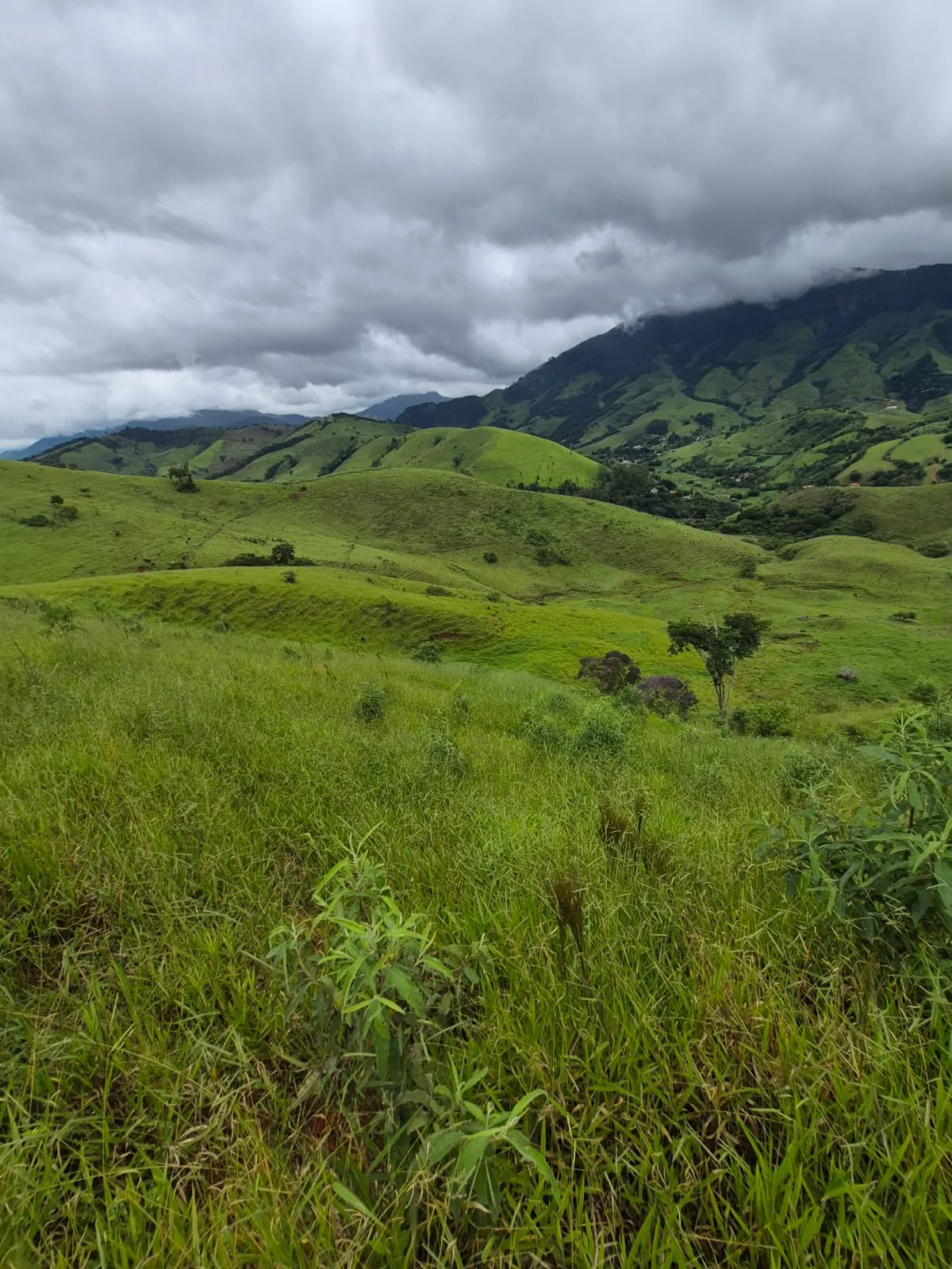 Sítio à venda de 5 ha em Delfim Moreira, MG, Brasil