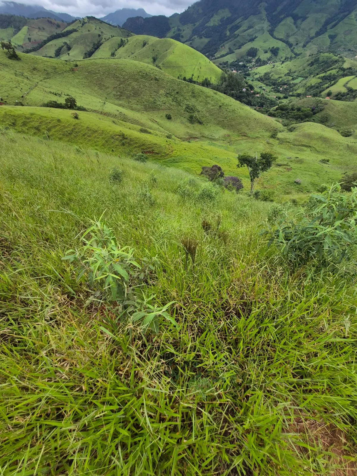 Sítio à venda de 5 ha em Delfim Moreira, MG, Brasil