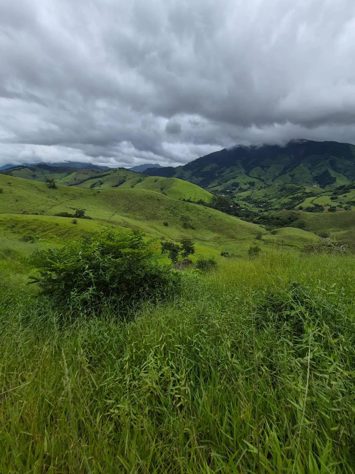 Sítio à venda de 5 ha em Delfim Moreira, MG, Brasil