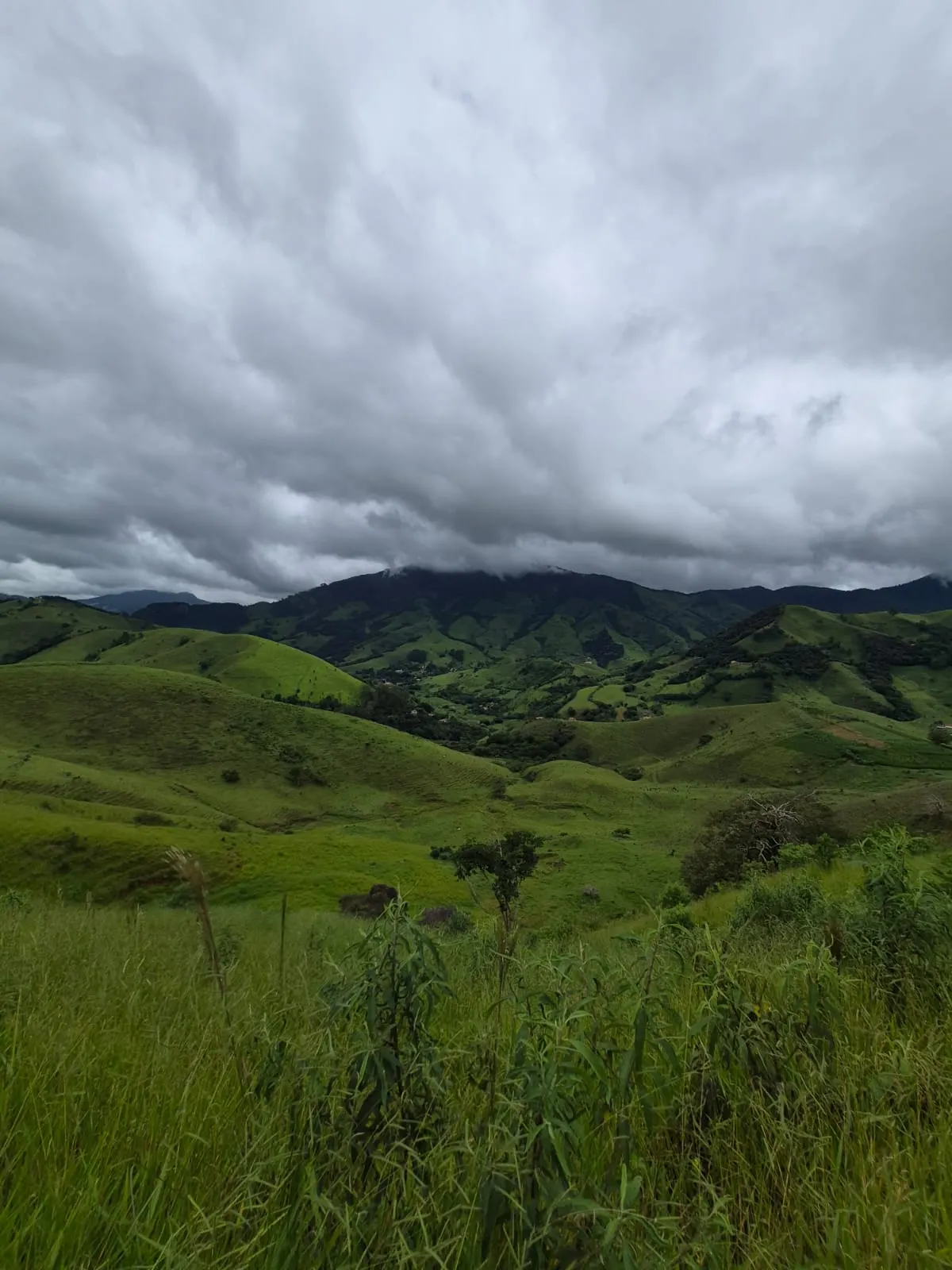 Sítio à venda de 5 ha em Delfim Moreira, MG, Brasil