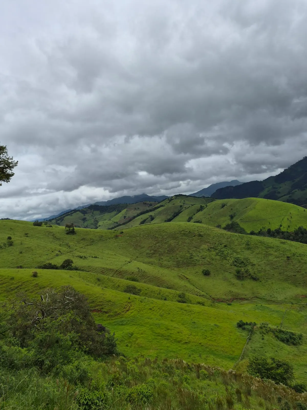 Sítio à venda de 5 ha em Delfim Moreira, MG, Brasil
