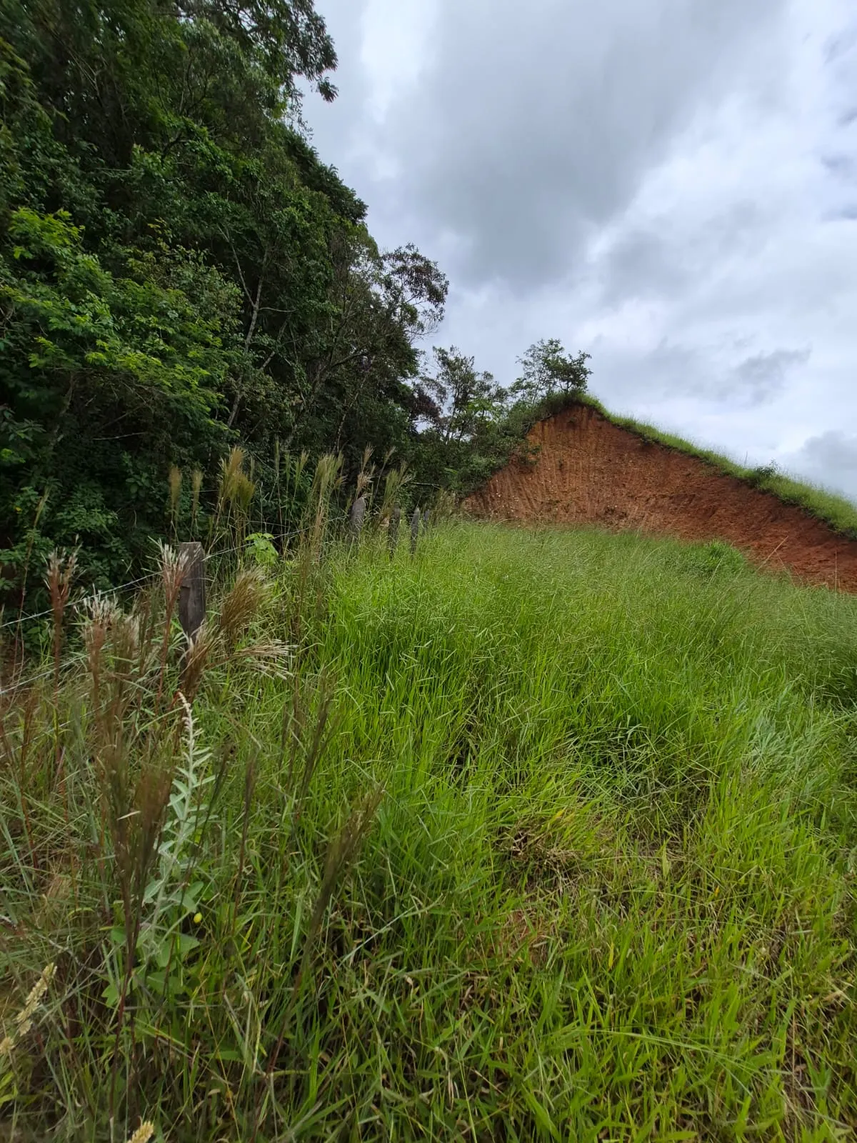 Sítio à venda de 5 ha em Delfim Moreira, MG, Brasil