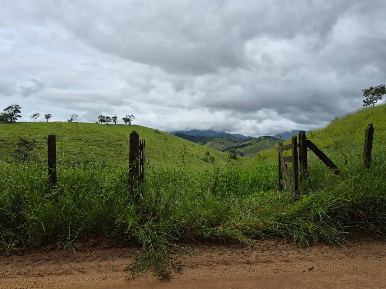 Sítio à venda de 5 ha em Delfim Moreira, MG, Brasil