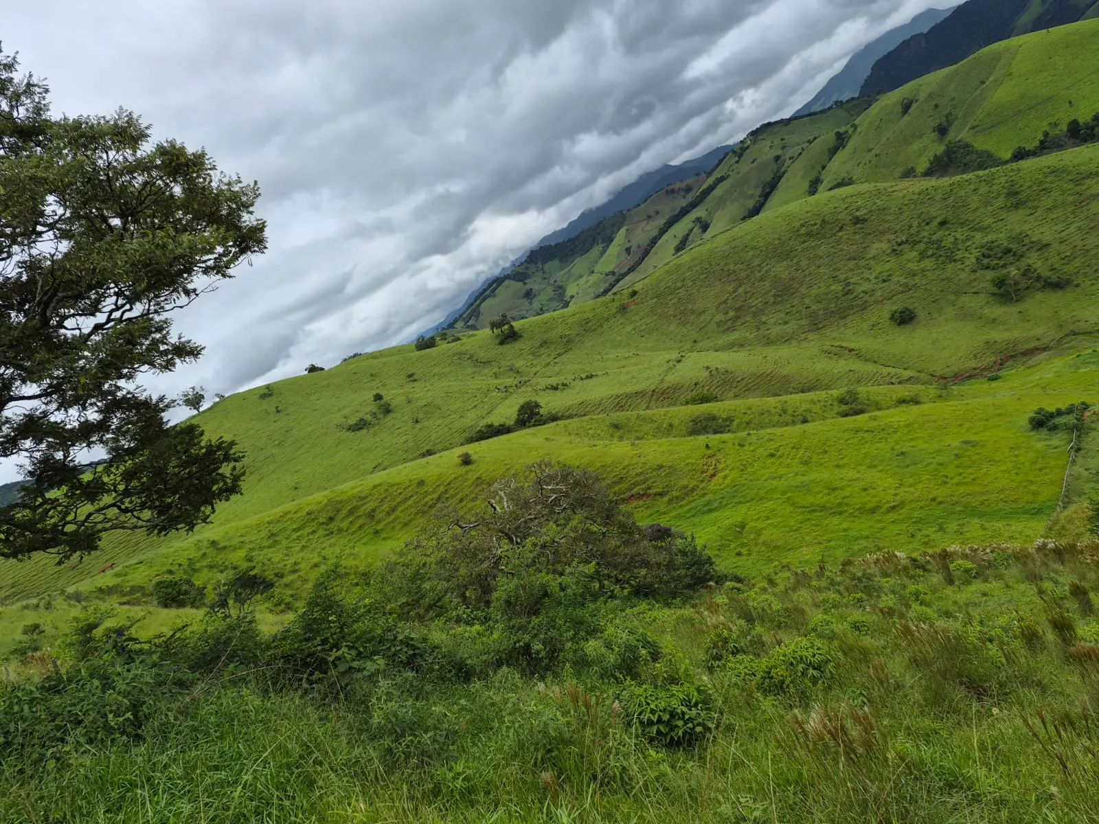 Sítio à venda de 5 ha em Delfim Moreira, MG, Brasil