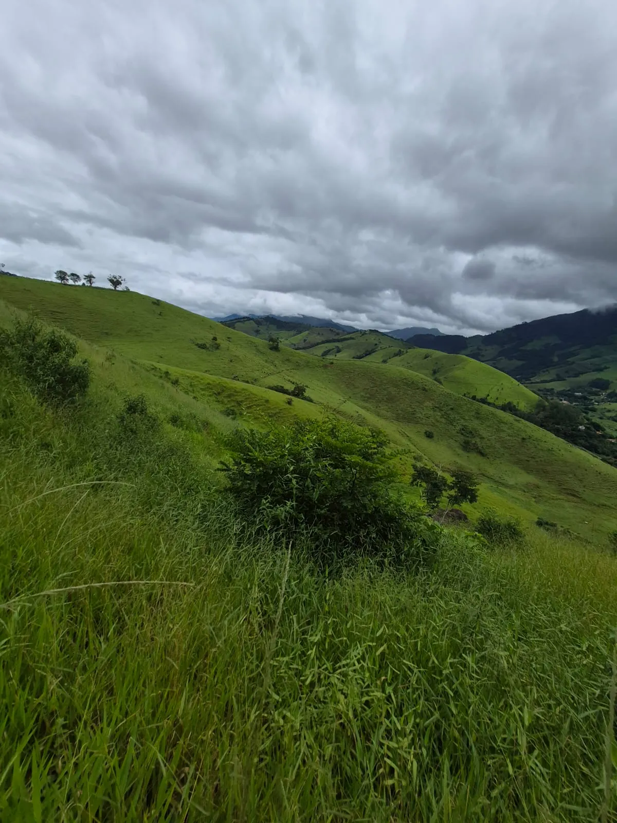 Sítio à venda de 5 ha em Delfim Moreira, MG, Brasil