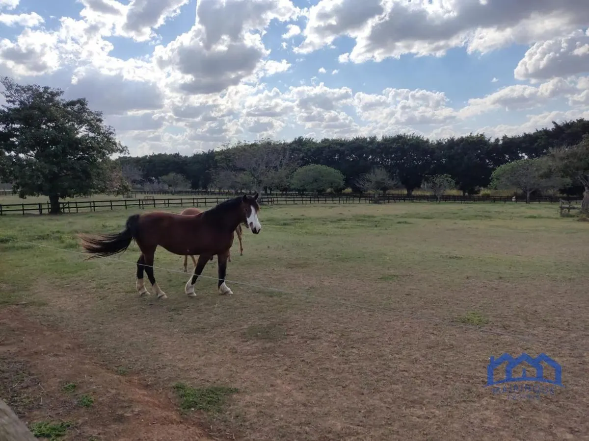 Fazenda à venda de 63 ha em Itapetininga, SP, Brasil