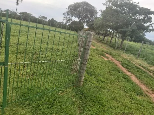 Chácara à venda de 6 ha em Neves Paulista, SP, Brasil