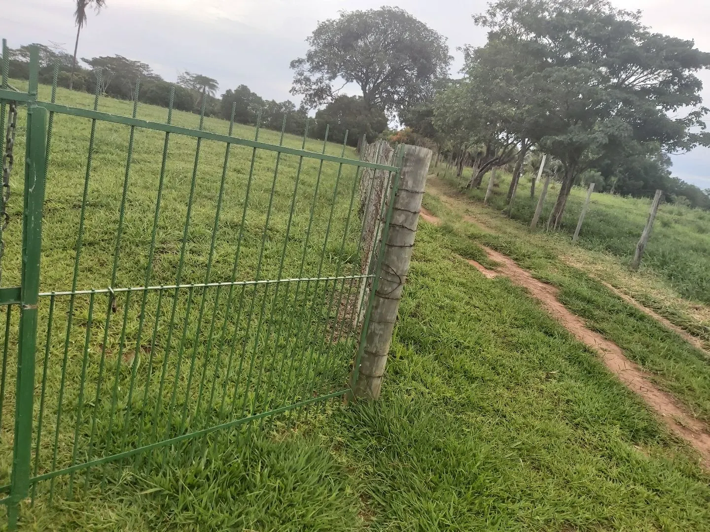 Chácara à venda de 6 ha em Neves Paulista, SP, Brasil
