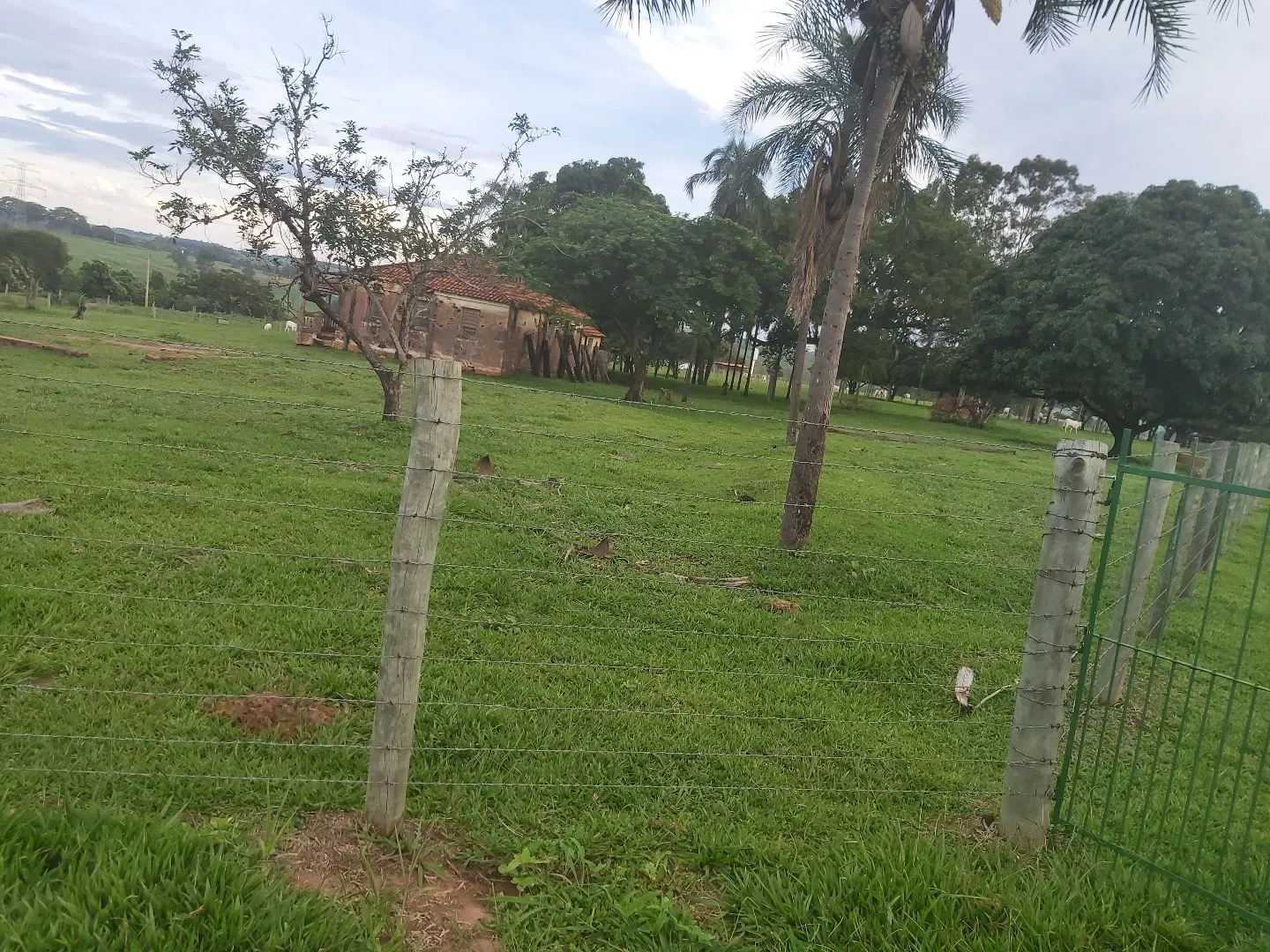 Chácara à venda de 6 ha em Neves Paulista, SP, Brasil