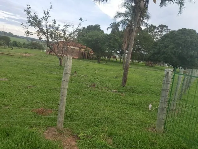 Chácara à venda de 6 ha em Neves Paulista, SP, Brasil
