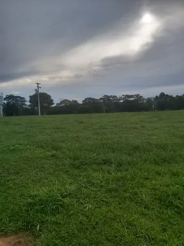 Chácara à venda de 6 ha em Neves Paulista, SP, Brasil