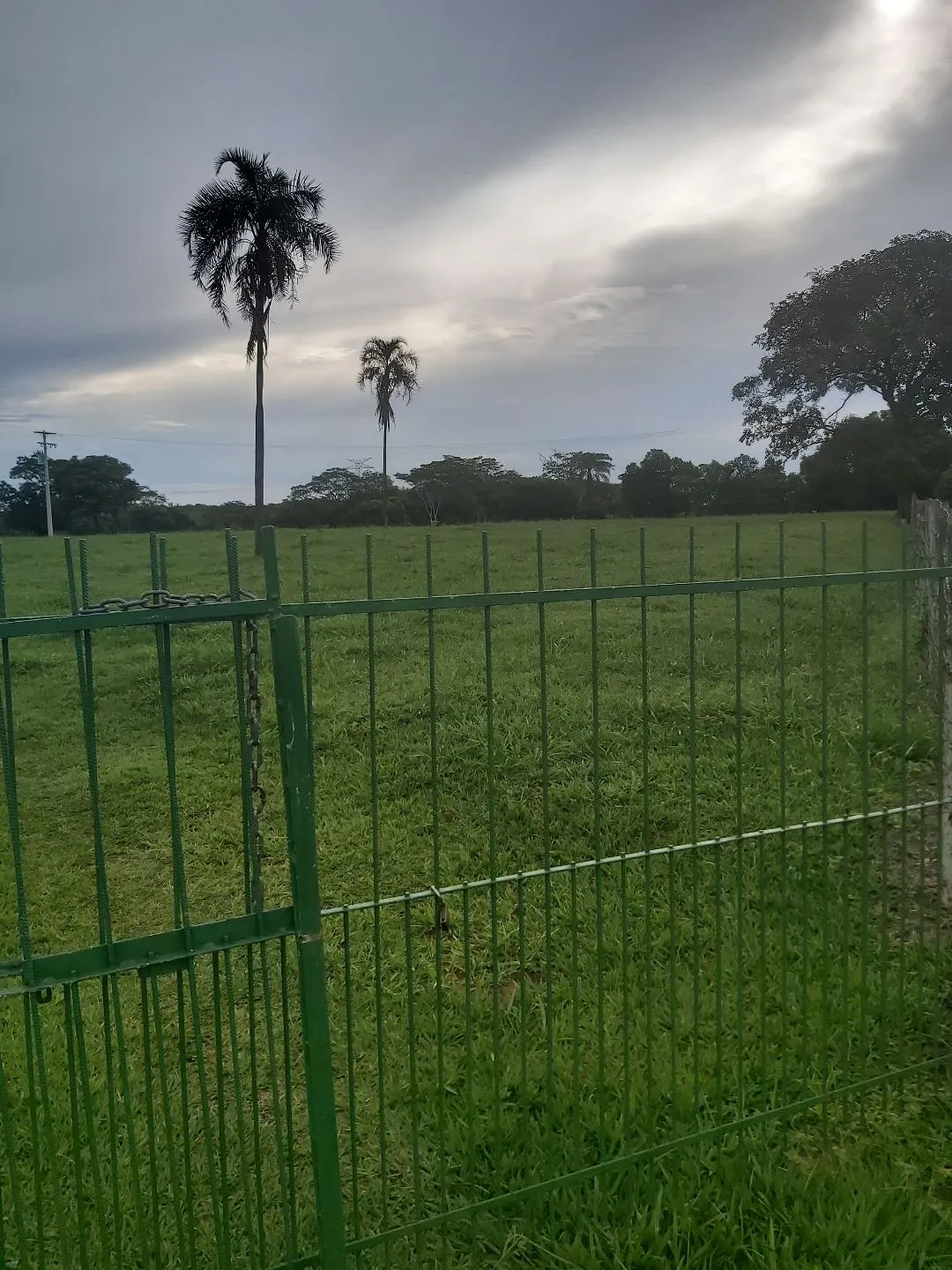 Chácara à venda de 6 ha em Neves Paulista, SP, Brasil