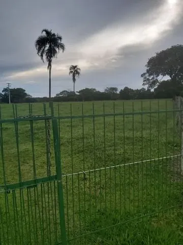 Chácara à venda de 6 ha em Neves Paulista, SP, Brasil