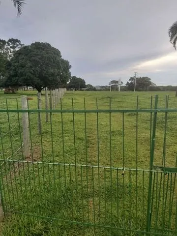 Chácara à venda de 6 ha em Neves Paulista, SP, Brasil