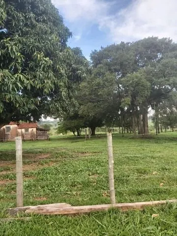 Chácara à venda de 6 ha em Neves Paulista, SP, Brasil