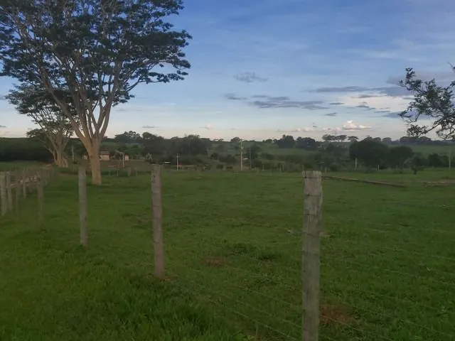 Chácara à venda de 6 ha em Neves Paulista, SP, Brasil