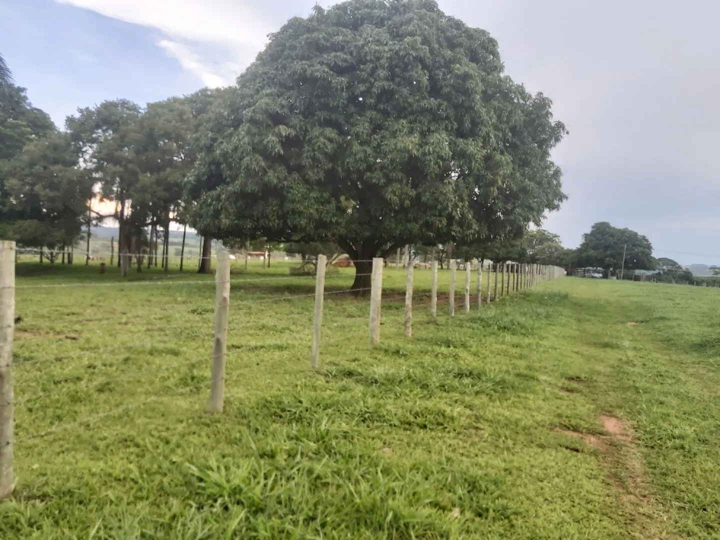Chácara à venda de 6 ha em Neves Paulista, SP, Brasil