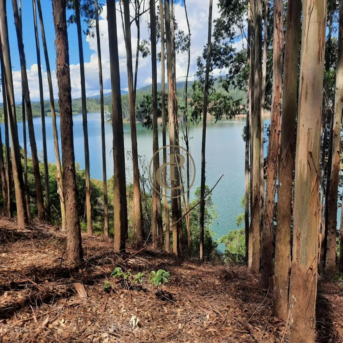 Fazenda à venda de 100 ha em Paraibuna, SP, Brasil