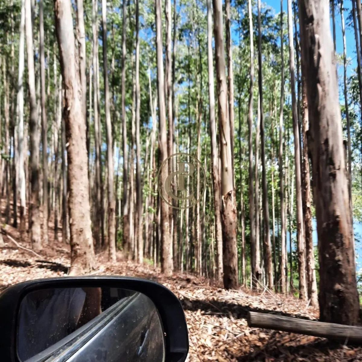 Fazenda à venda de 100 ha em Paraibuna, SP, Brasil