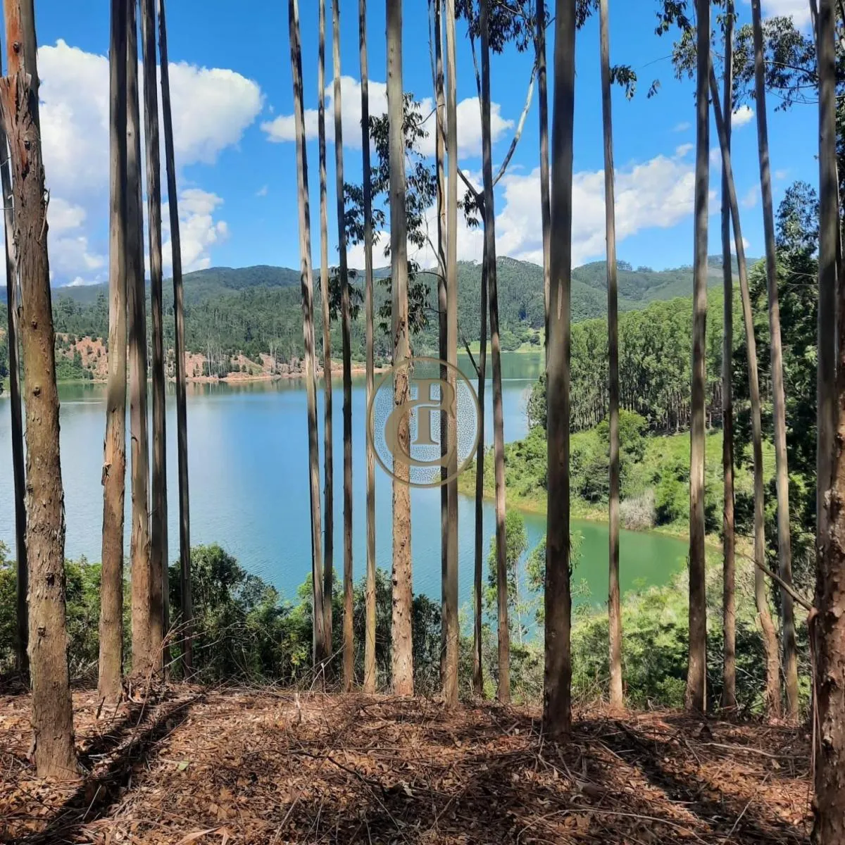 Fazenda à venda de 100 ha em Paraibuna, SP, Brasil