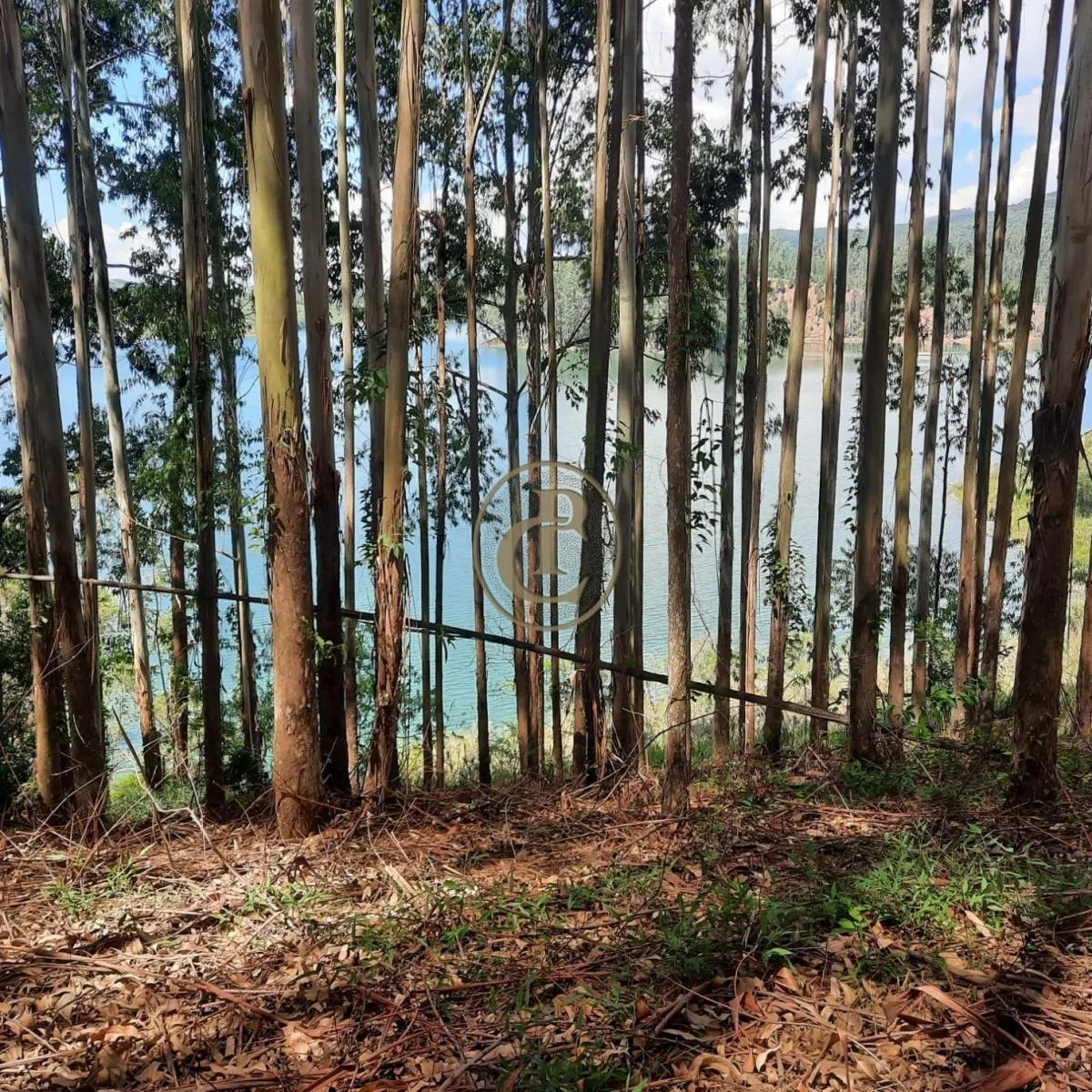 Fazenda à venda de 100 ha em Paraibuna, SP, Brasil