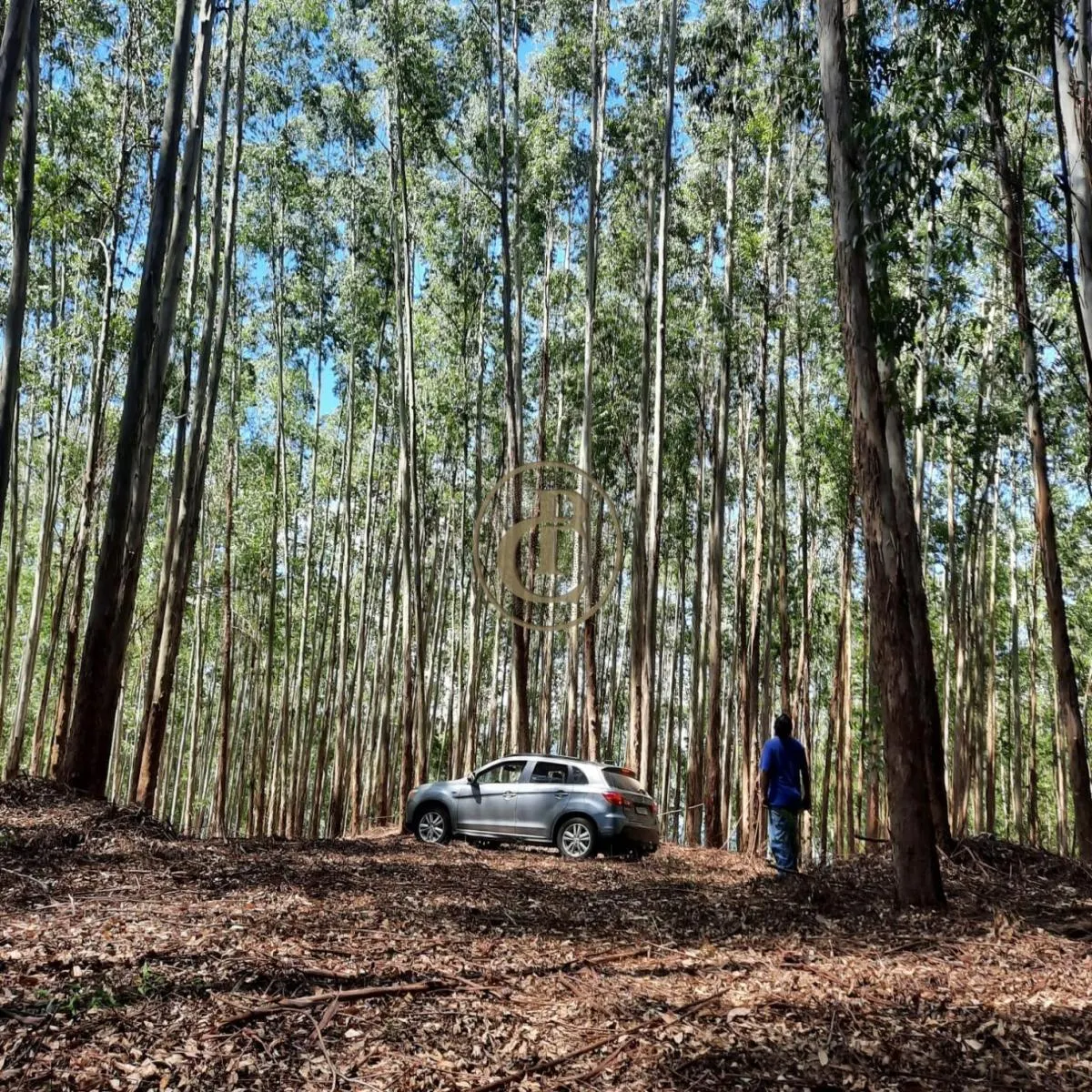 Fazenda à venda de 100 ha em Paraibuna, SP, Brasil