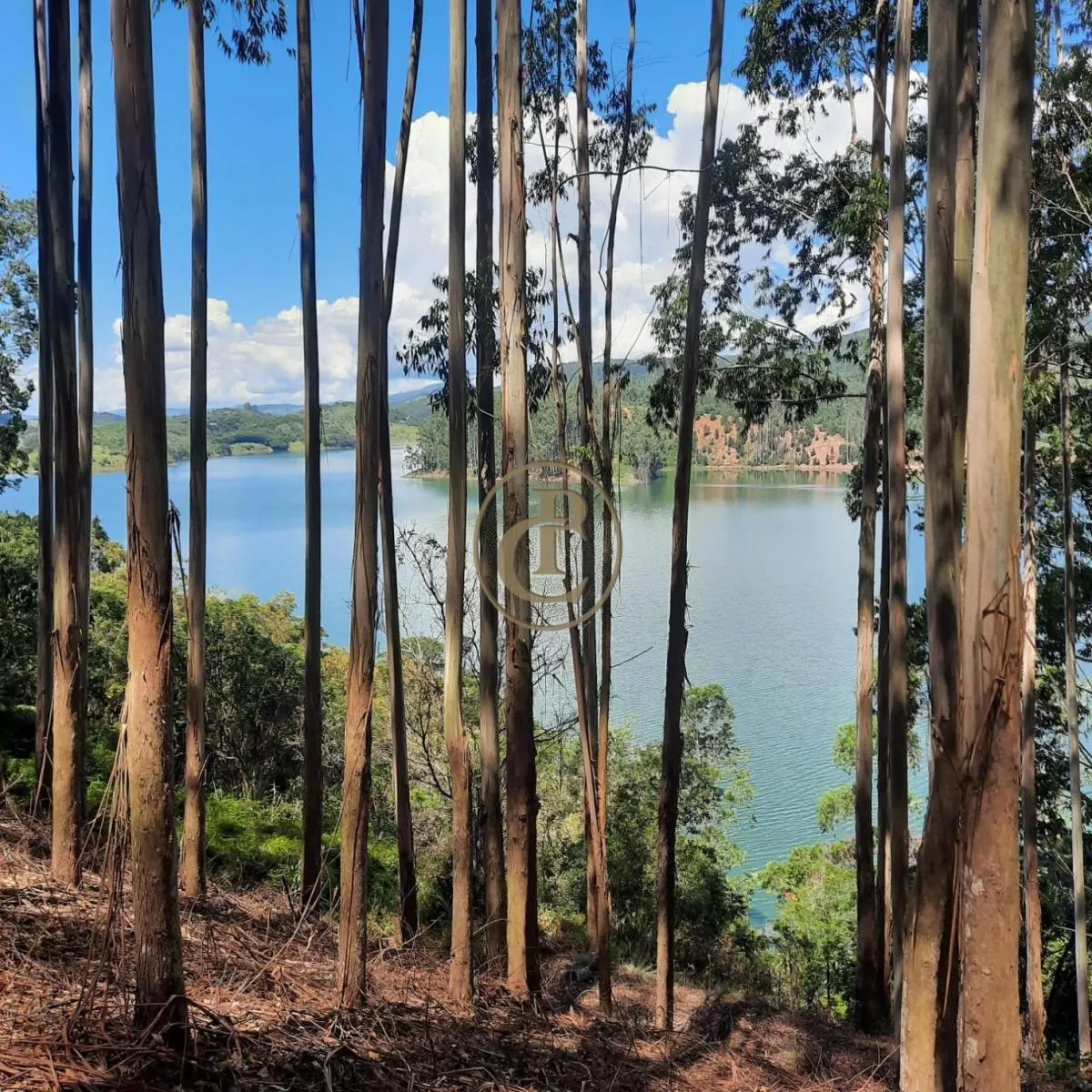 Fazenda à venda de 100 ha em Paraibuna, SP, Brasil