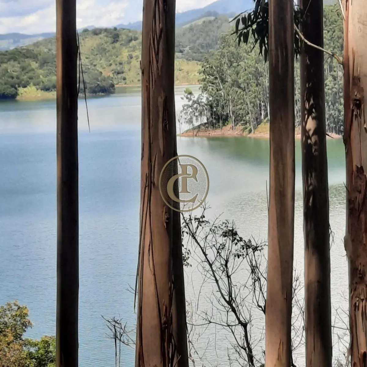 Fazenda à venda de 100 ha em Paraibuna, SP, Brasil