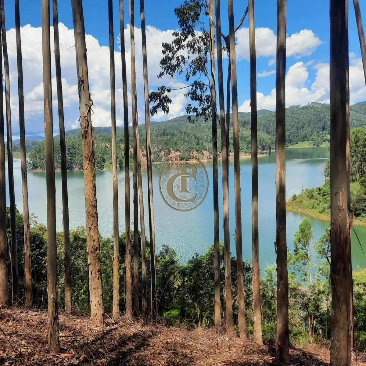Fazenda à venda de 100 ha em Paraibuna, SP, Brasil