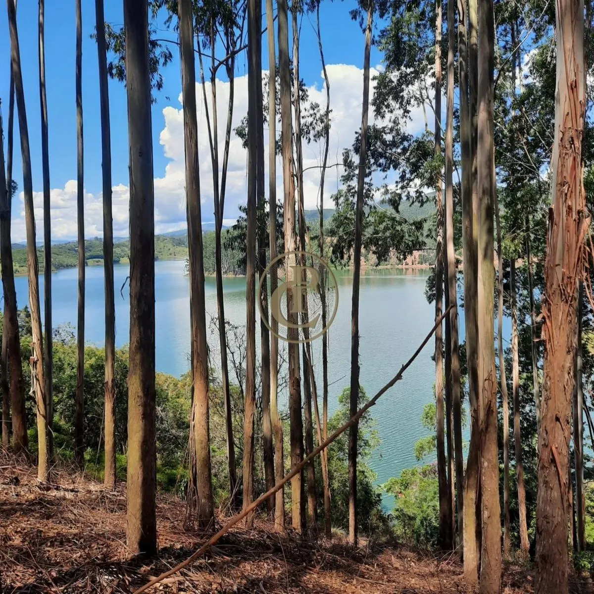 Fazenda à venda de 100 ha em Paraibuna, SP, Brasil