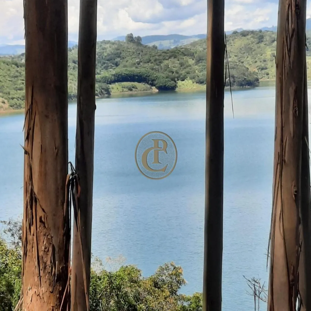 Fazenda à venda de 100 ha em Paraibuna, SP, Brasil