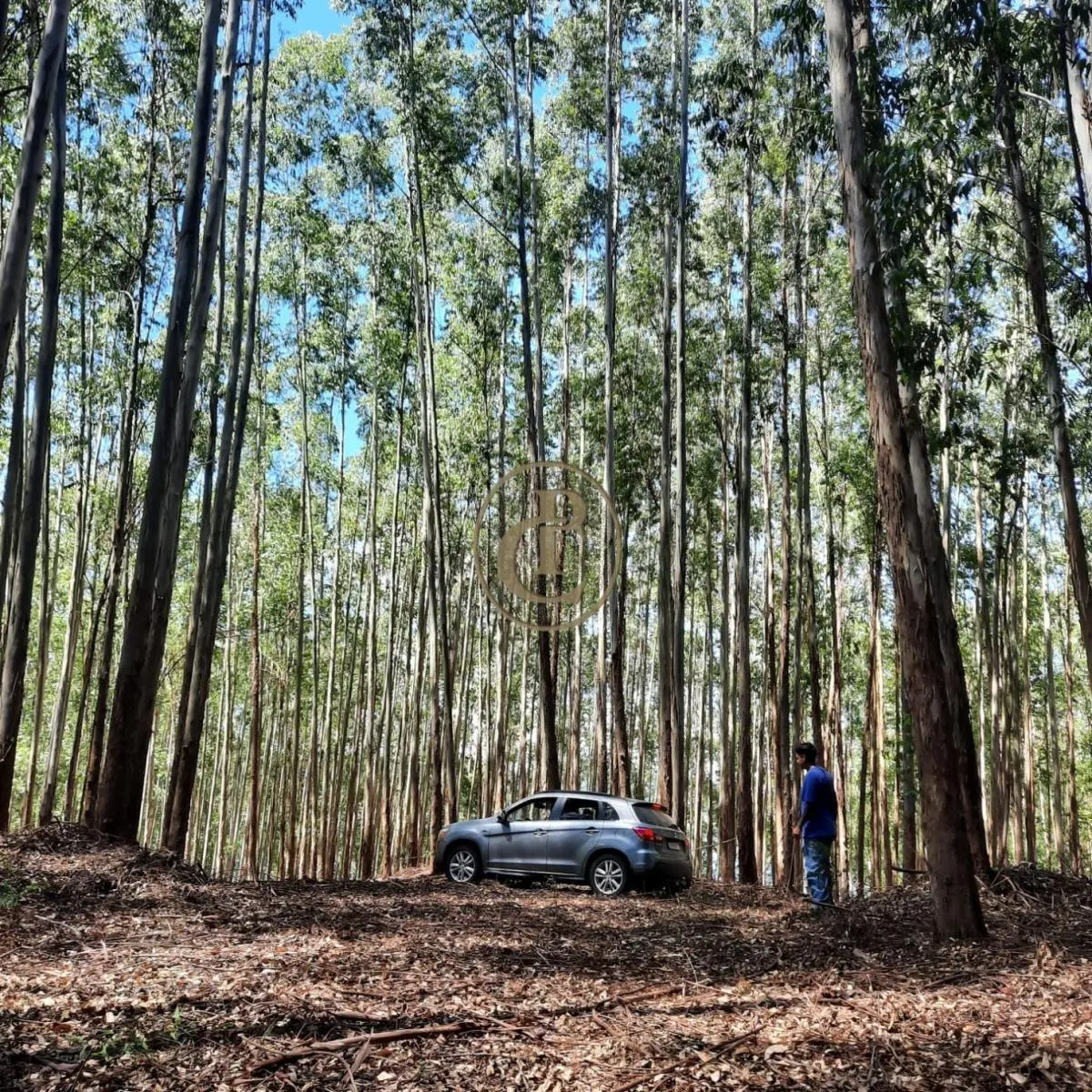 Fazenda à venda de 100 ha em Paraibuna, SP, Brasil