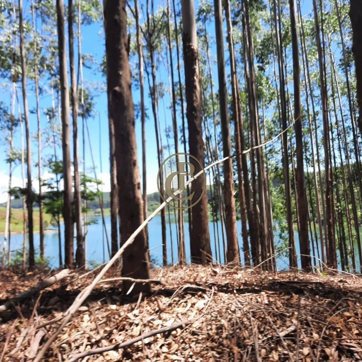 Fazenda à venda de 100 ha em Paraibuna, SP, Brasil