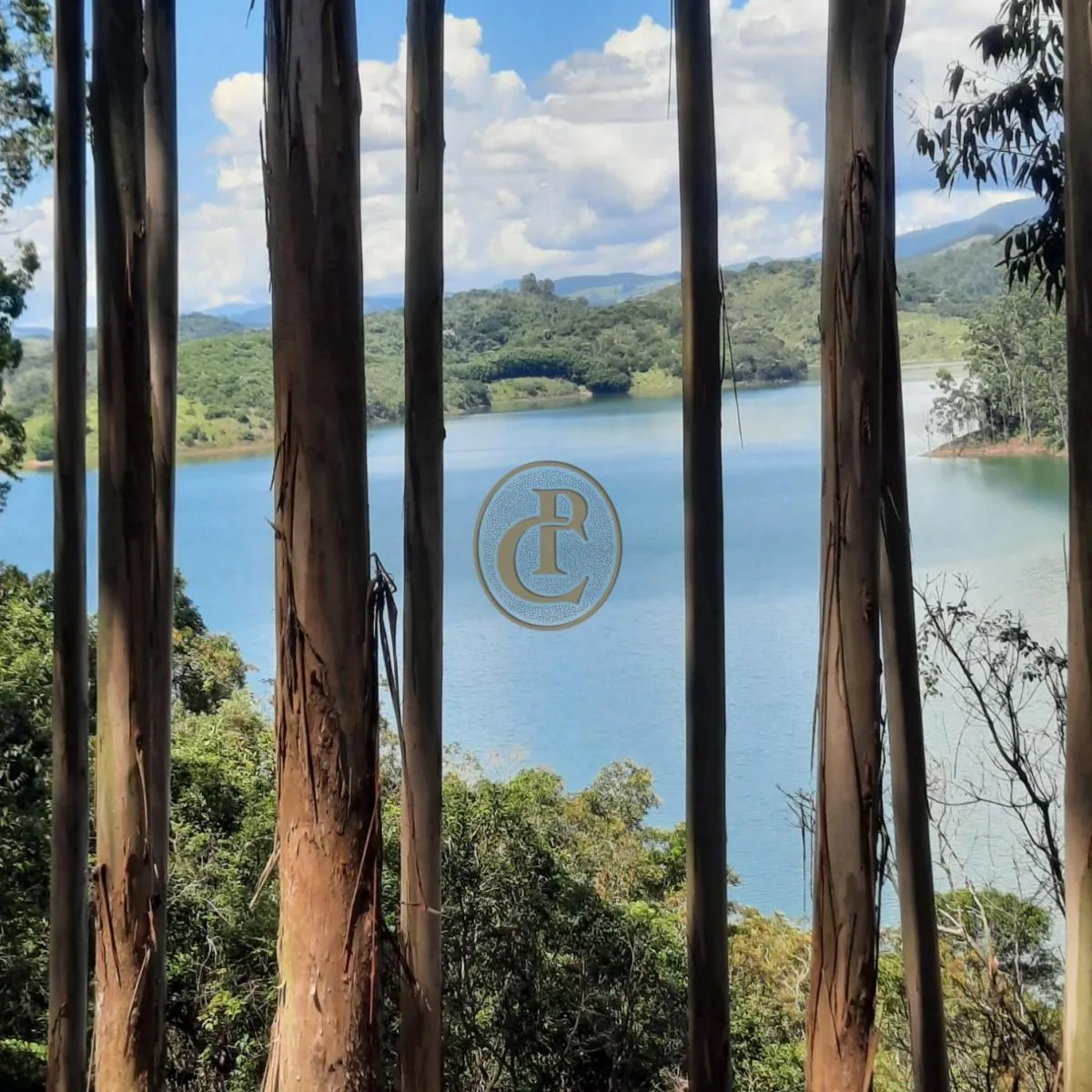 Fazenda à venda de 100 ha em Paraibuna, SP, Brasil