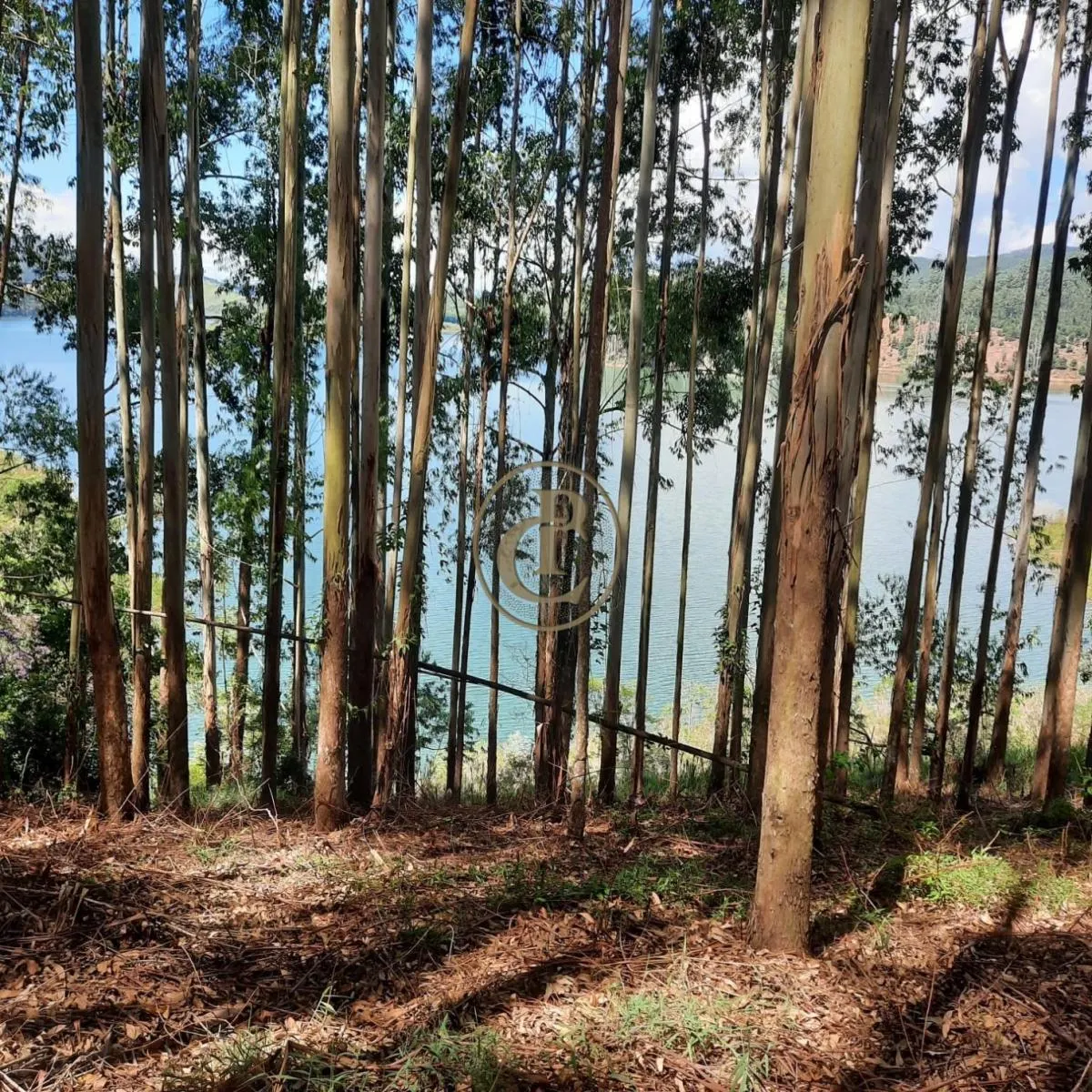 Fazenda à venda de 100 ha em Paraibuna, SP, Brasil